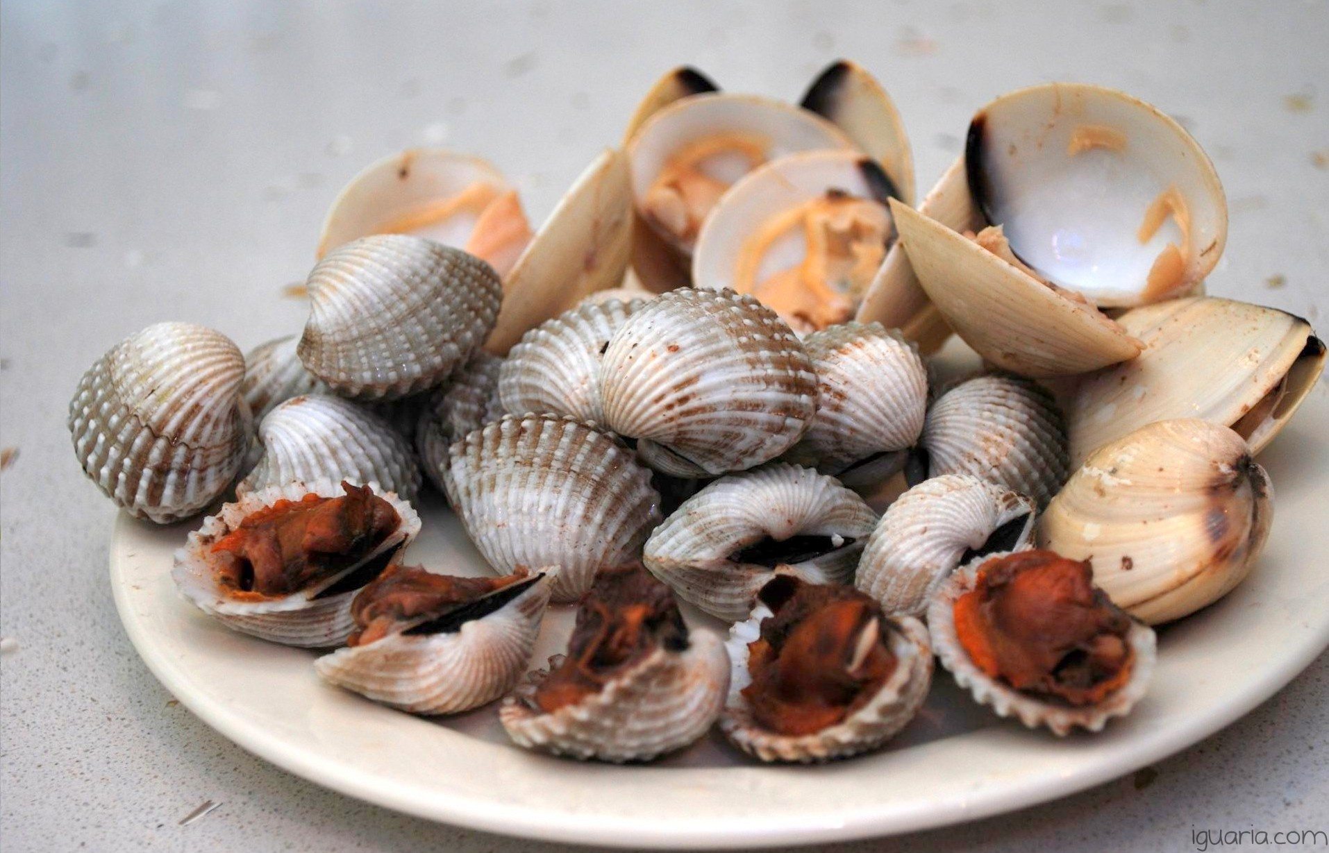 COMO LIMPAR MARISCOS - DICAS DE COMO APLICAR CORRETAMENTE