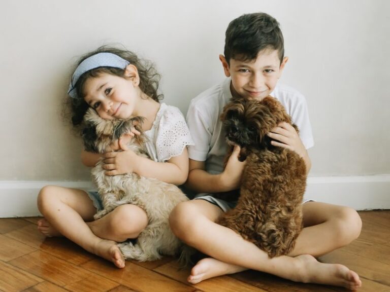 Desafios da convivência entre pets e crianças